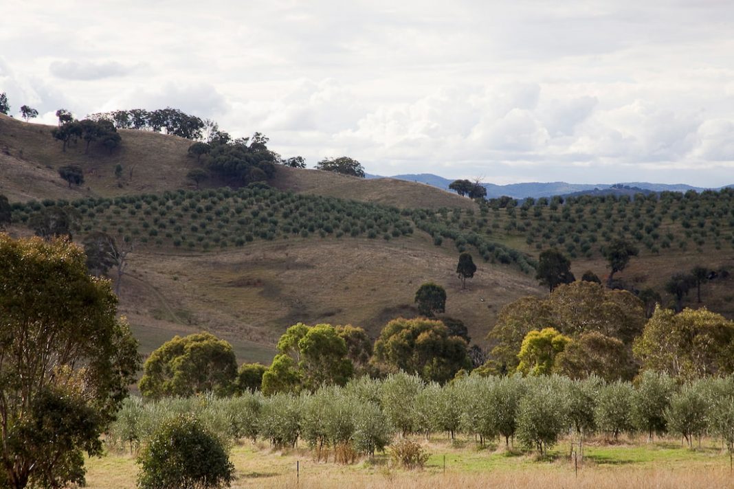 Earthquake hits north of Canberra in early hours