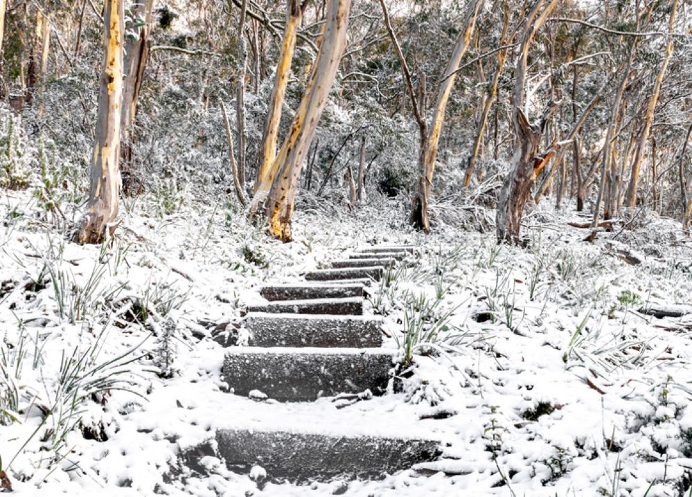 snow on a walking track in Namadgi National Park south of Canberra
