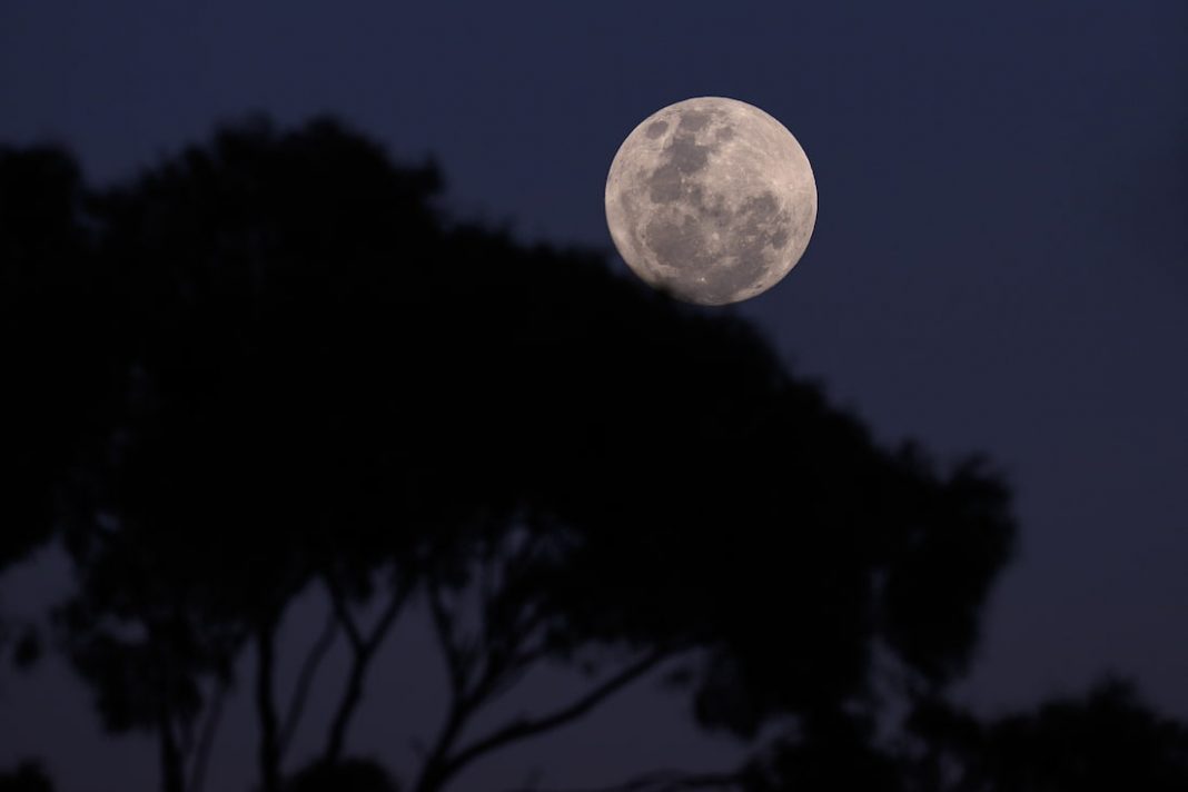 First of two August supermoons in spectacular show
