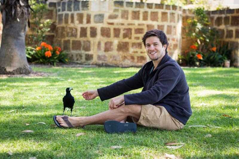 Macquarie University behavioural ecologist Ben Ashton who is studying magpie behaviour and has explained why the birds swoop, is seen sitting on the lawn with a magpie nearby