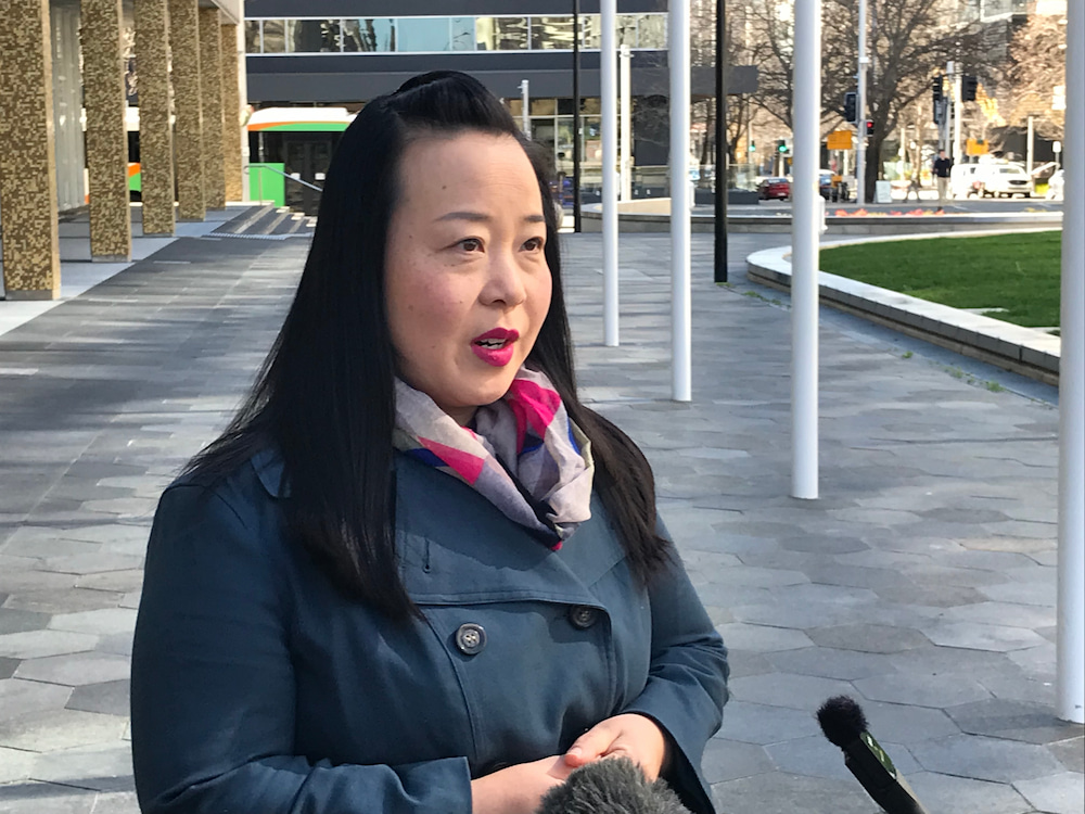 Canberra Liberals leader Elizabeth Lee. Photo: Nick Fuller