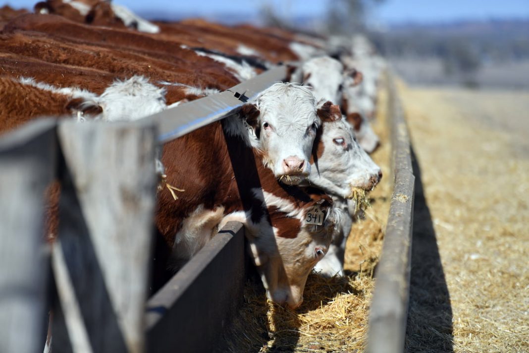 Recipe for change as dry spell may eat into food prices