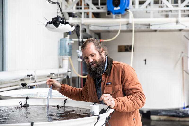 Sea Forest’s CEO Sam Elsom in the company’s Asparagopsis research and cultivation facilities in Triabunna, Tasmania