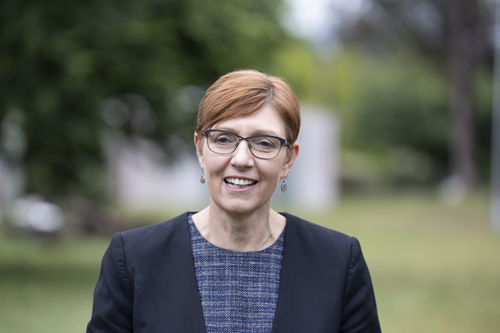 Rachel Stephen-Smith, ACT Minister for Families and Community Services. File photo: Kerrie Brewer