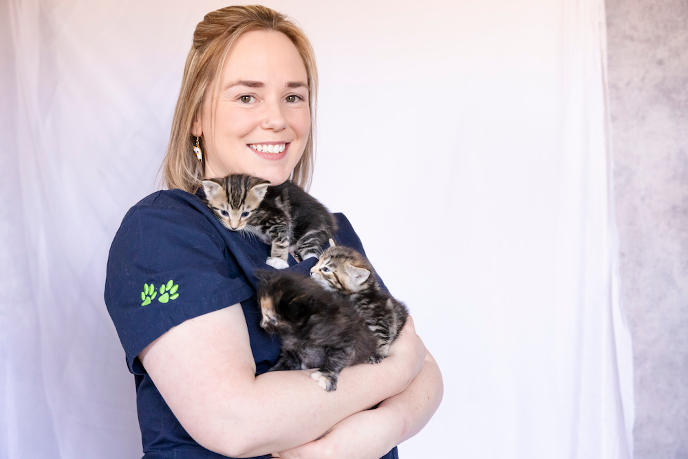 Nikki Hohmuth from RSPCA ACT has her hands full fostering neonatal kittens. Photo: Kerrie Brewer