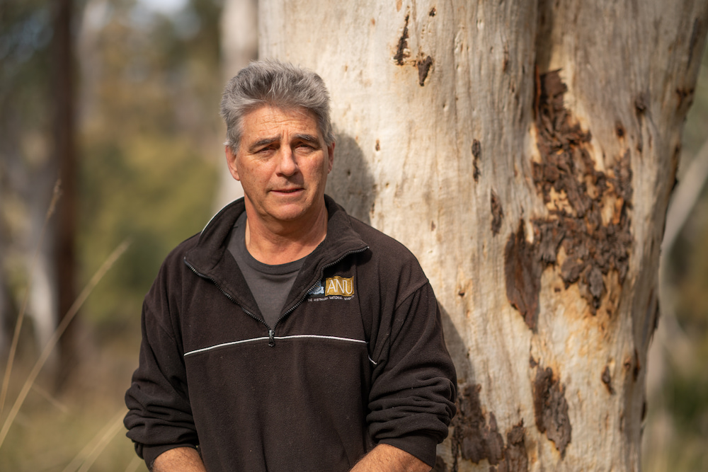 Professor David Lindenmayer, a forest ecologist and conservation biologist at ANU, and co-author of the research. Photo: Tracey Nearmy/ANU