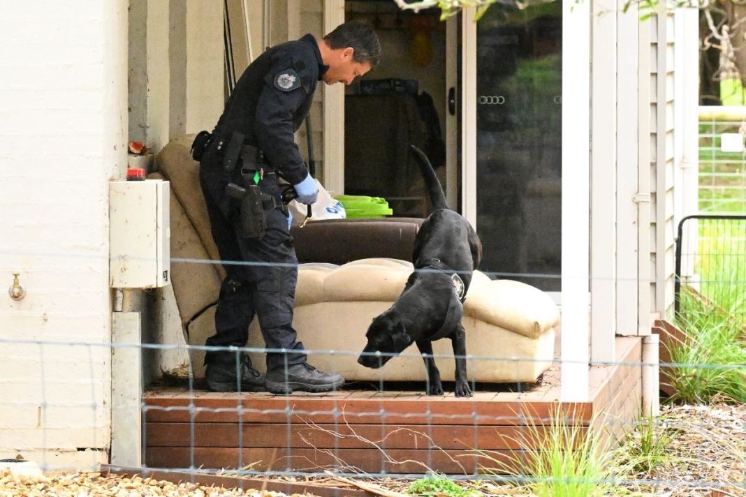 male police officer with black labrador searching a patio