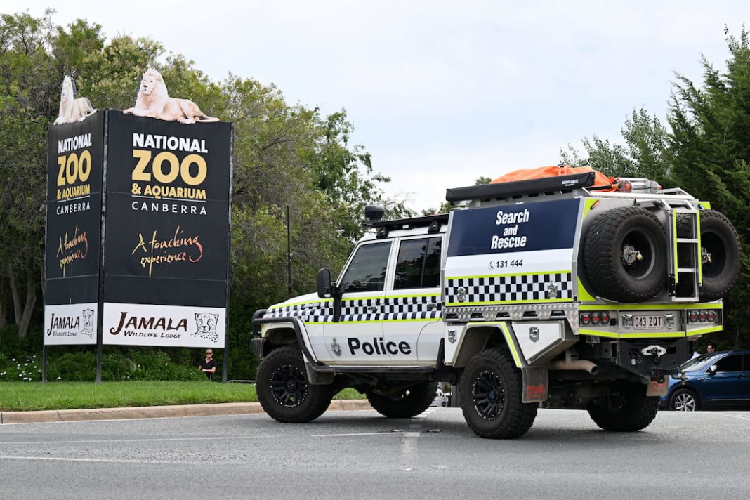 Woman found dead in zoo, man in police custody