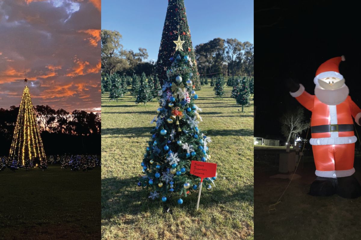 Sponsor a tree, help a family in need at Canberra Christmas Park