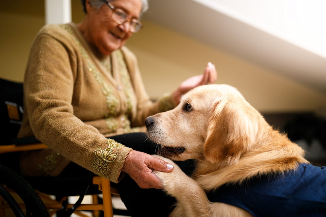 Fit The Bill Welcome To 2024 And Thanks For Therapy Dogs Canberra   IStock 1153775811 1 