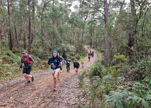 Thirty people ran 30 km through Tallaganda State Forest to advocate for its protection. Photo: Thomas White.