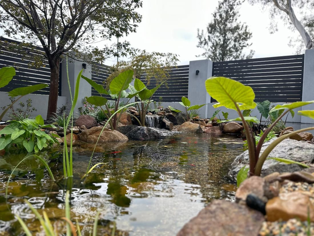 Pond 2