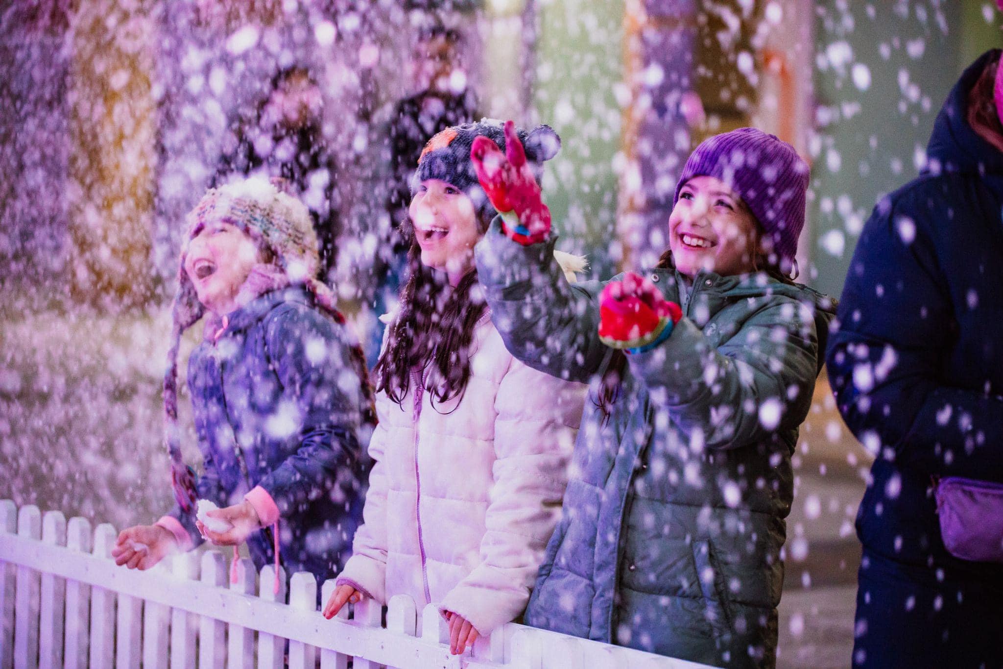 Experience the magic of winter at Wonder in Glebe Park | Canberra Daily