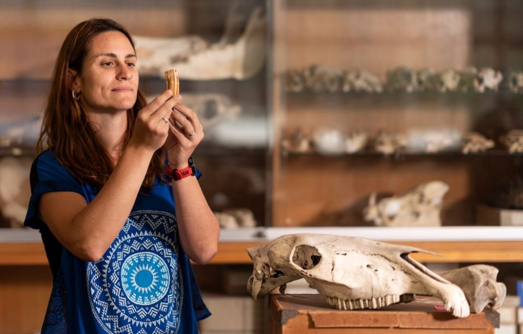 ANU archaeologist Dr Sofia Samper Carro says Abric Pizarro challenge widespread beliefs that Neanderthals only hunted large animals. Photo: Jamie Kidston/ANU