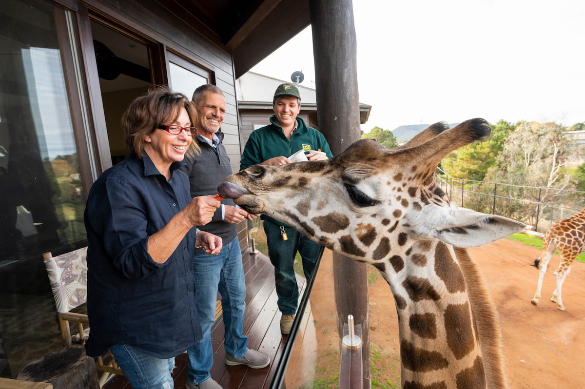 Jamala Wildlife Lodge