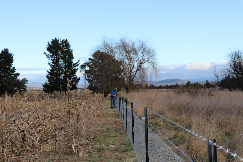 A Majura Valley farm. File photo: Abbey Halter