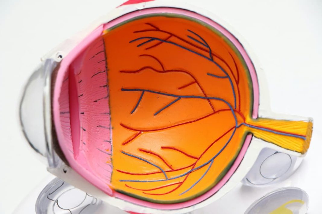 As Concerns About Glaucoma Grow, Is Australia Doing Enough to Combat It?