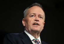 Labor stalwart Bill Shorten quits politics for role at UC