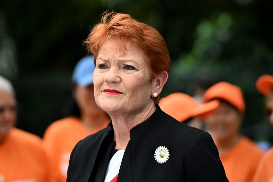 Judge ready to rule on Pauline Hanson's 'racist' post