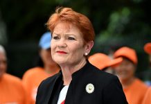 Judge ready to rule on Pauline Hanson's 'racist' post