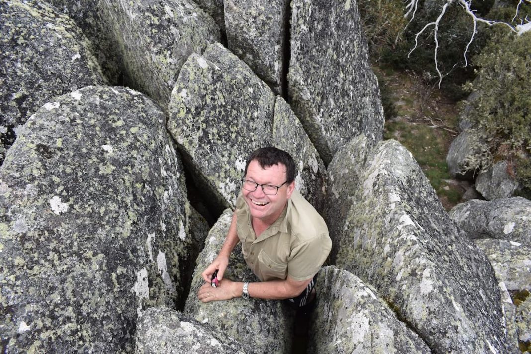 Bogong Moths