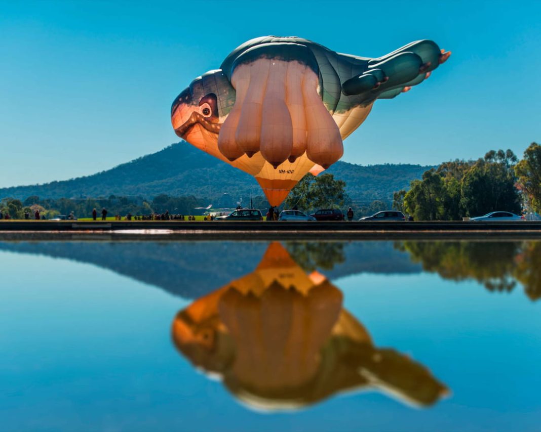 skywhale