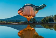 skywhale