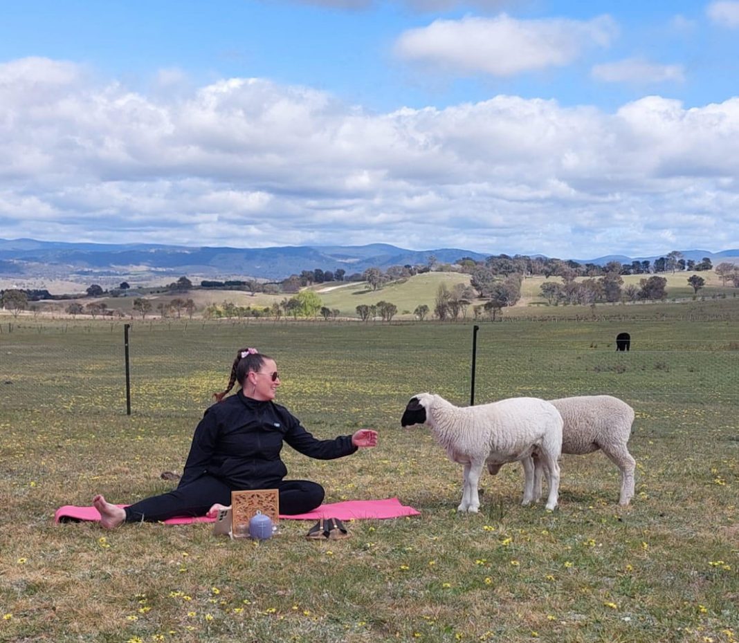 Farm yoga classes are being held at Babylon Farm at Wallaroo.