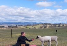 Farm yoga classes are being held at Babylon Farm at Wallaroo.