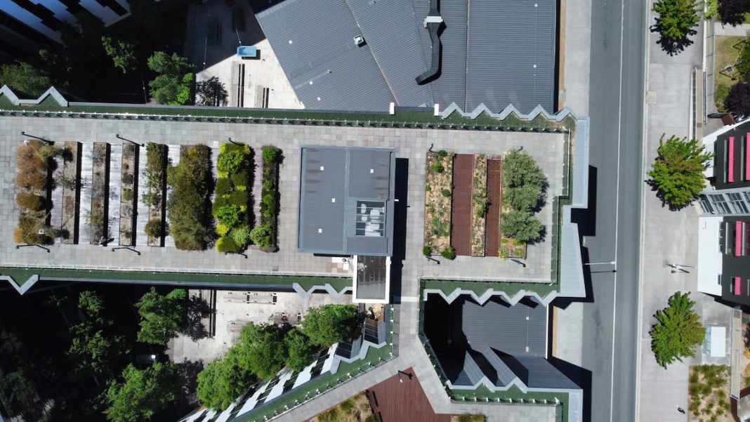 A hidden rooftop garden sits on the fifth floor above the Canberra Food Co-op in Civic. Photo: Steve Miller.