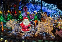 Your guide to Canberra’s best Christmas lights 2025 Christmas Light