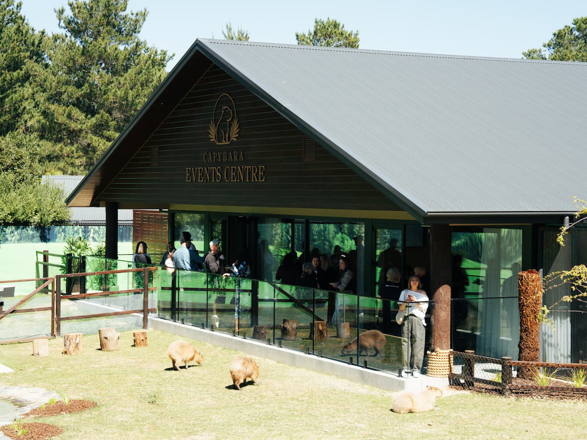 The new Capybara Events Centre offers views across the capybara habitat and can host weddings, conferences and functions.