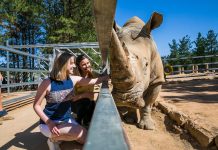 What’s on: World Rhino Day at the National Zoo and Aquarium World Rhino Day at the National Zoo and Aquarium